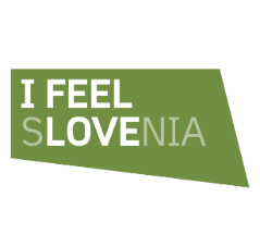 LOGO I FEEL